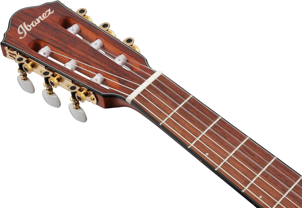 Ibanez FRH10N Thinline Nylon Acoustic-electric Guitar - Rose Gold Metallic Flat