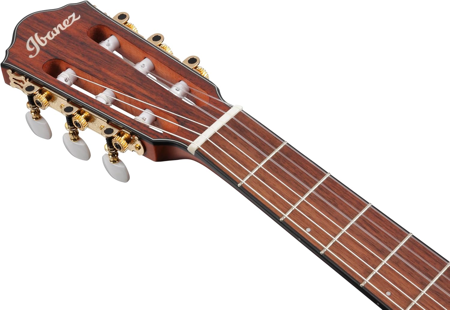Ibanez FRH10N Thinline Nylon Acoustic-electric Guitar - Rose Gold Metallic Flat