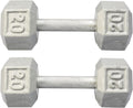 Hydra Fitness Exchange Cast Iron Hex Dumbbell 3 lb to 100 lb (in Single & Pair) - Solid Hexagon Silver Coating Dumbbell Set Strength Training Free Weights for Women & Men Residential Only