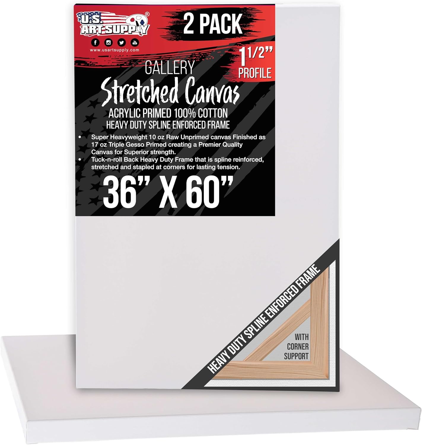 U.S. Art Supply Rectangle Stretched Canvas for Painting 36x60 inch Gallery Depth 1-1/2' Thick, 2-Pack - 17oz Acrylic Gesso Triple Primed, Professional Artist Quality, 100% Cotton - Oil, Pouring Paint