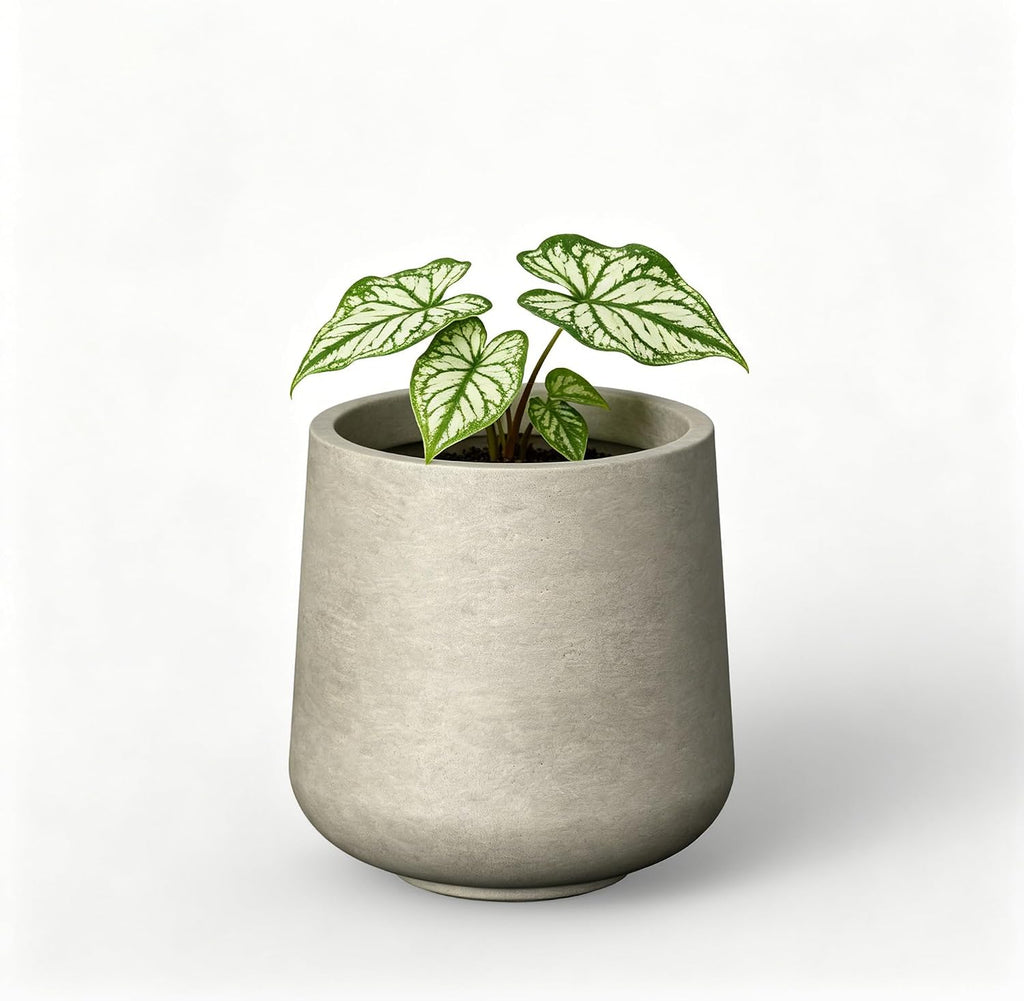 Kante 17.3' Tall Round Concrete Planter, Large Outdoor Plant Pot with Drainage Hole & Rubber Plug, Sturdy Weathered Beige Container for Trees, Patio Garden