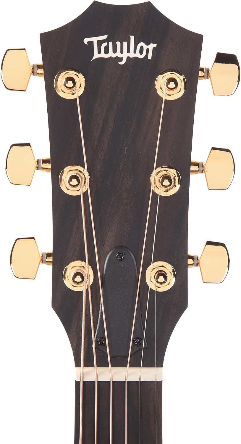 Taylor Taylor 224ce-K DLX Grand Auditorium Acoustic-electric Guitar - Tobacco