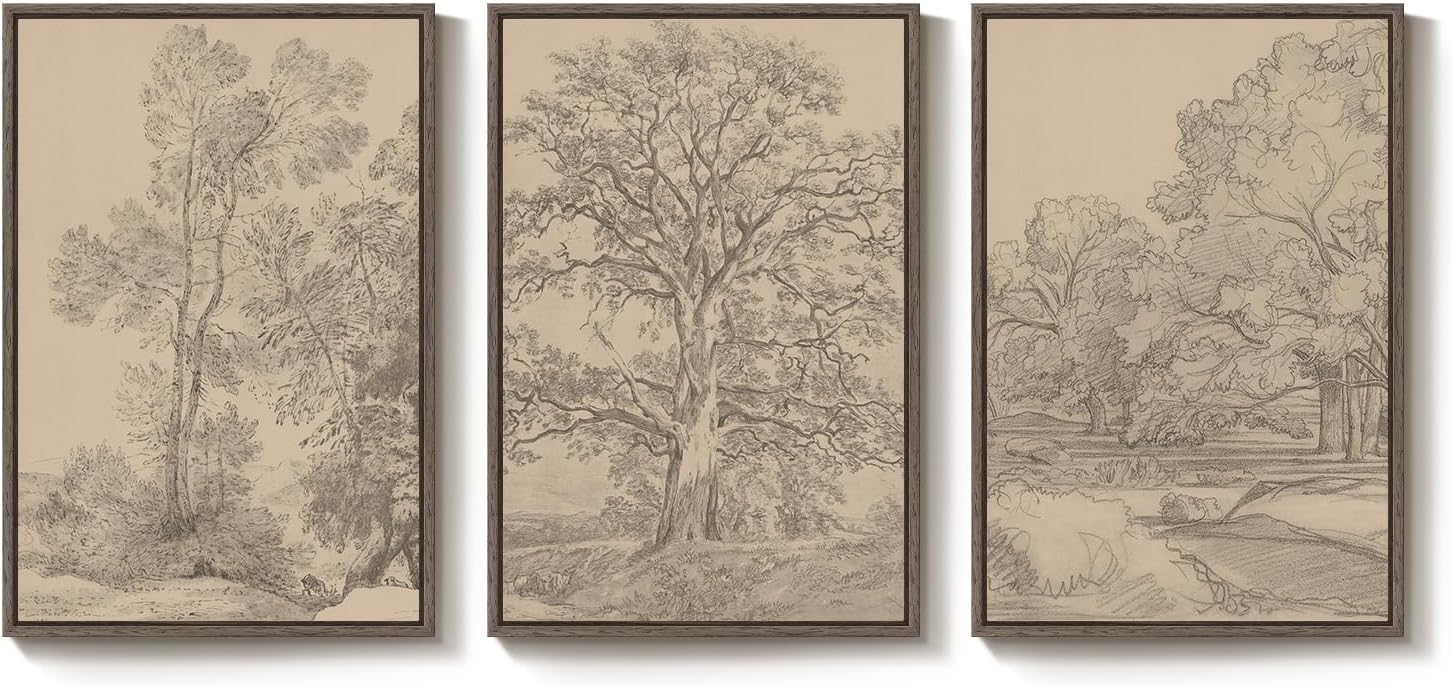 Large Vintage Framed Neutral Landscape Wall Art for Living Rooms, 3 Piece Retro Big Tree Sketch Botanical Forest Antique Canvas Artwork Set, Rustic Nature Wabi Sabi Art Prints for Hallway Home Office 24x36 Inch