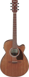 Ibanez PC54CE Acoustic-electric Guitar - Natural