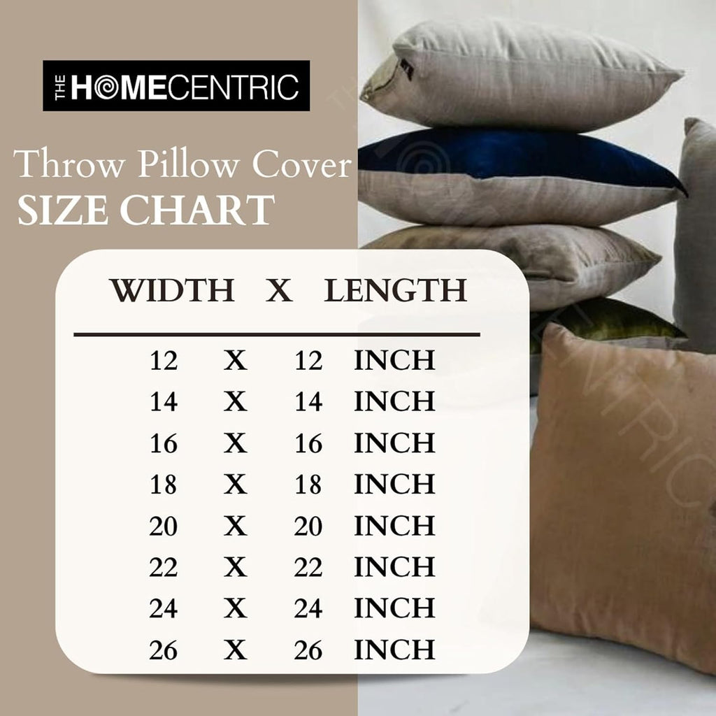 The HomeCentric Throw Pillow Case, Silver Euro Size Pillowcases, Pack of 2, 24x24 inch (60x60 cm) Silk Pillow Case Cover, Pillow Covers with Lace & Sequins & Embroidered, Abstract - Vanilla Lace