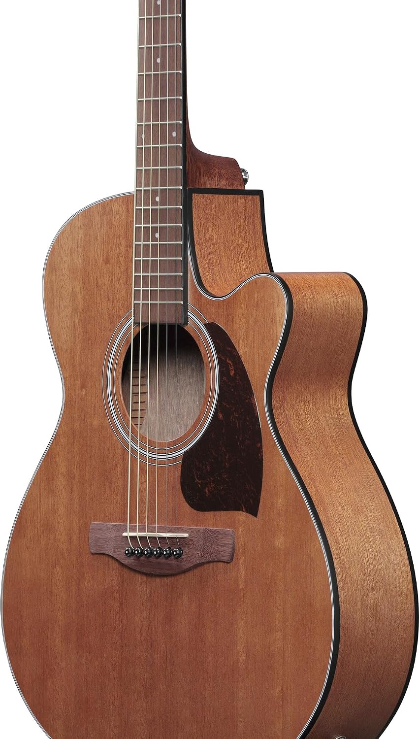 Ibanez PC54CE Acoustic-electric Guitar - Natural