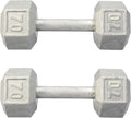 Hydra Fitness Exchange Cast Iron Hex Dumbbell 3 lb to 100 lb (in Single & Pair) - Solid Hexagon Silver Coating Dumbbell Set Strength Training Free Weights for Women & Men Residential Only