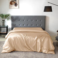 THXSILK Silk Duvet Cover, 100% 7A+ Mulberry Silk Comforter Cover, Seamless, Breathable, Easy Care Zipper Closure, 1 Duvet Cover Only - Queen, Champagne