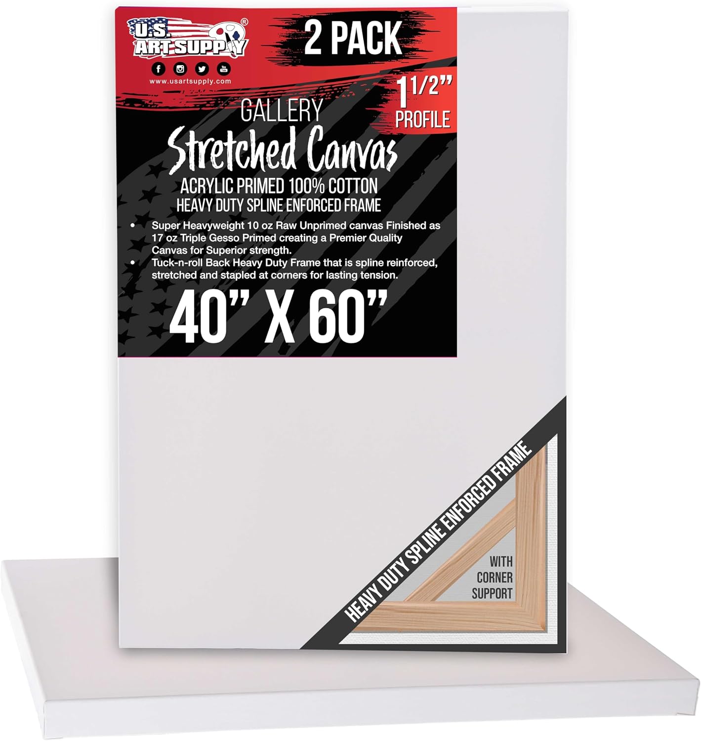U.S. Art Supply Rectangle Stretched Canvas for Painting 40x60 inch Gallery Depth 1-1/2' Thick, 2-Pack - 17oz Acrylic Gesso Triple Primed, Professional Artist Quality, 100% Cotton - Oil, Pouring Paint