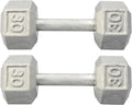 Hydra Fitness Exchange Cast Iron Hex Dumbbell 3 lb to 100 lb (in Single & Pair) - Solid Hexagon Silver Coating Dumbbell Set Strength Training Free Weights for Women & Men Residential Only