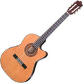 Ibanez 6-String Classical Guitar, Right, Natural