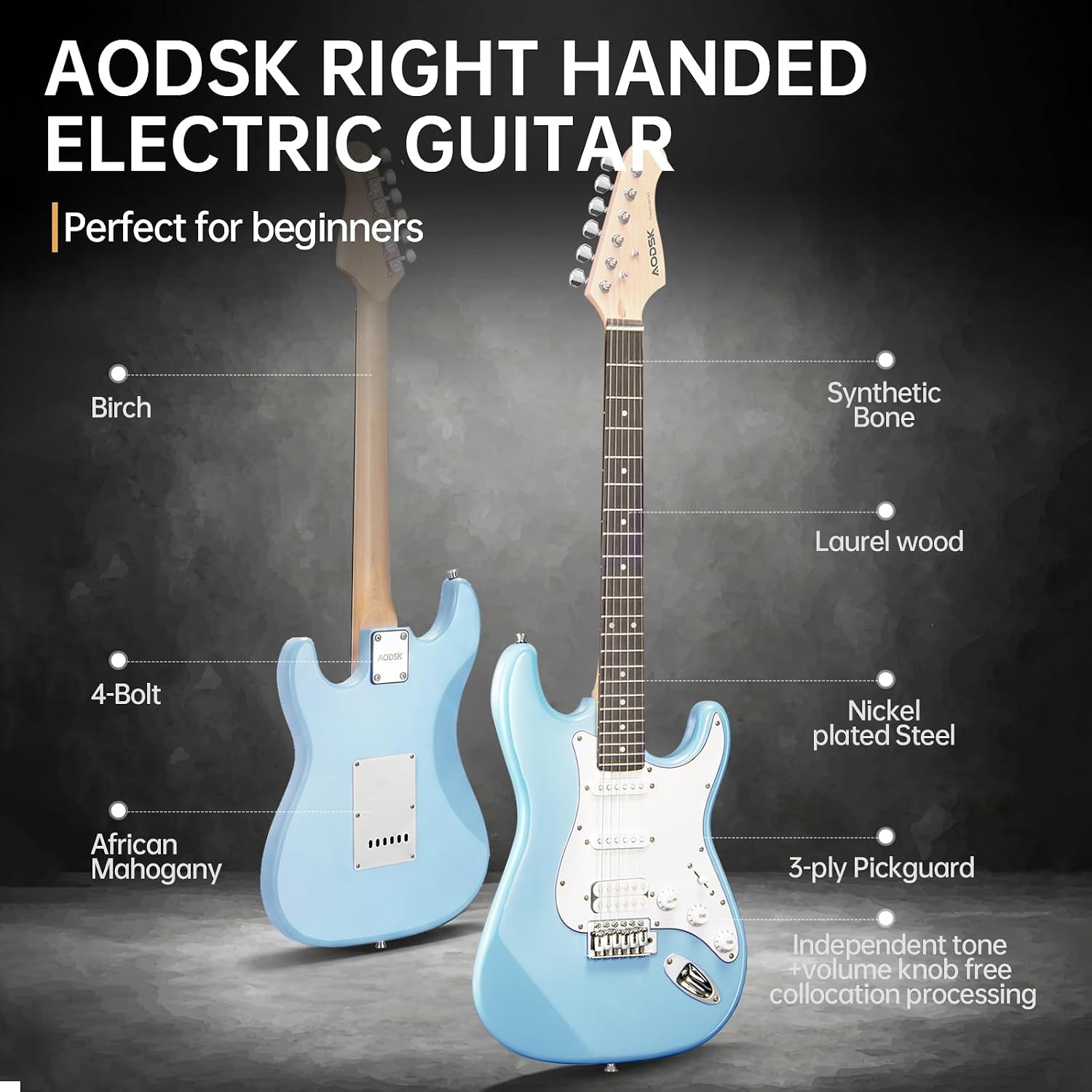AODSK Electric Guitar with Amp Beginner Kit 39 Inch Solid Body Full Size,All Accessories,Digital Tuner,Six Strings,Four Picks,Tremolo Bar,Strap,Gig Bag,Starter kit (Blue-HSS)