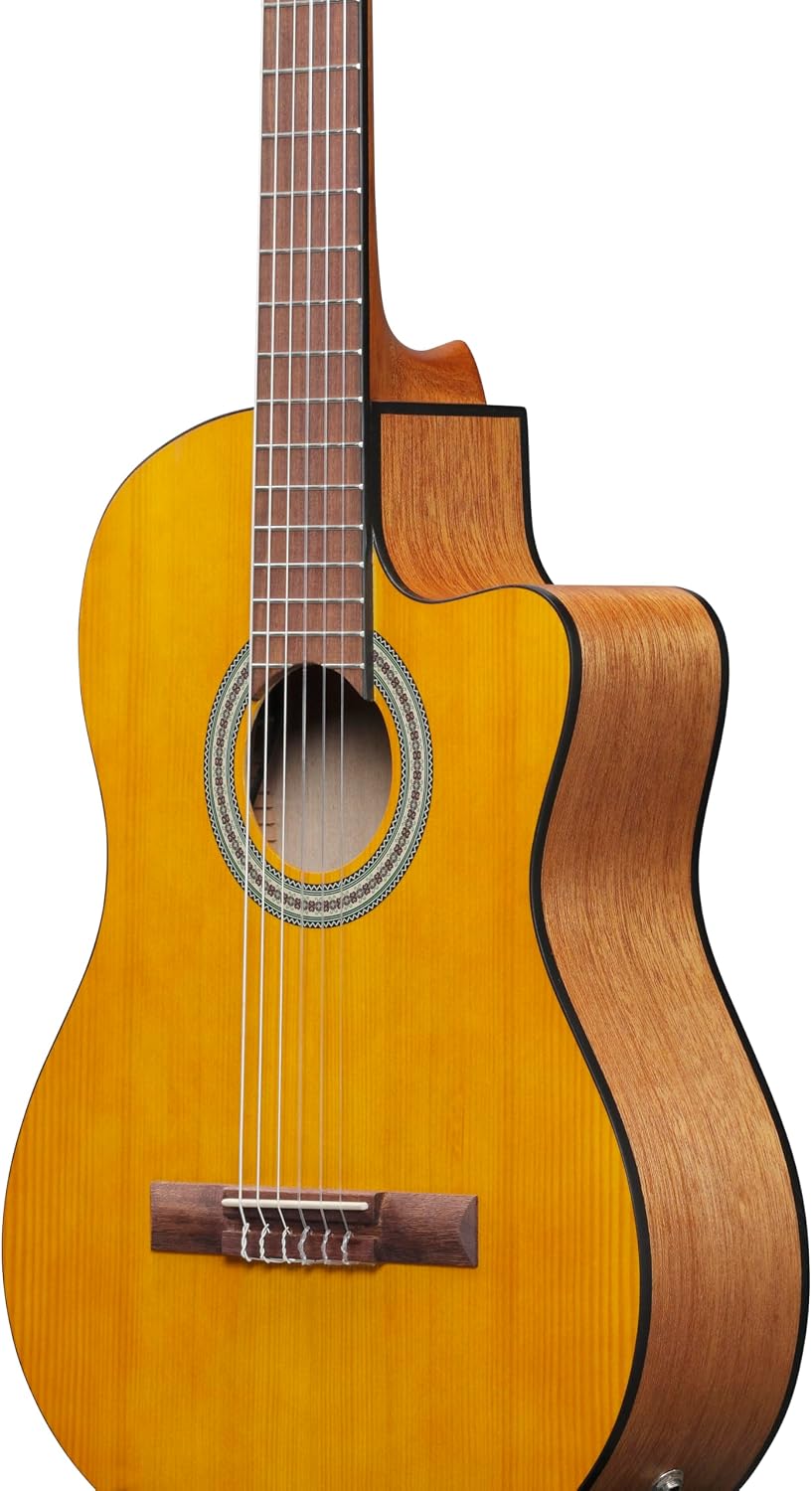 Ibanez GA3ECE Nylon-string Acoustic-electric Guitar - Open Pore Amber