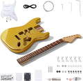 Leo Jaymz DIY ST Style Electric Guitar Kits,Spray-painted Mahogany Body,Laurel Wood Fingerboard and Maple Neck, including all Components (ST Gold)