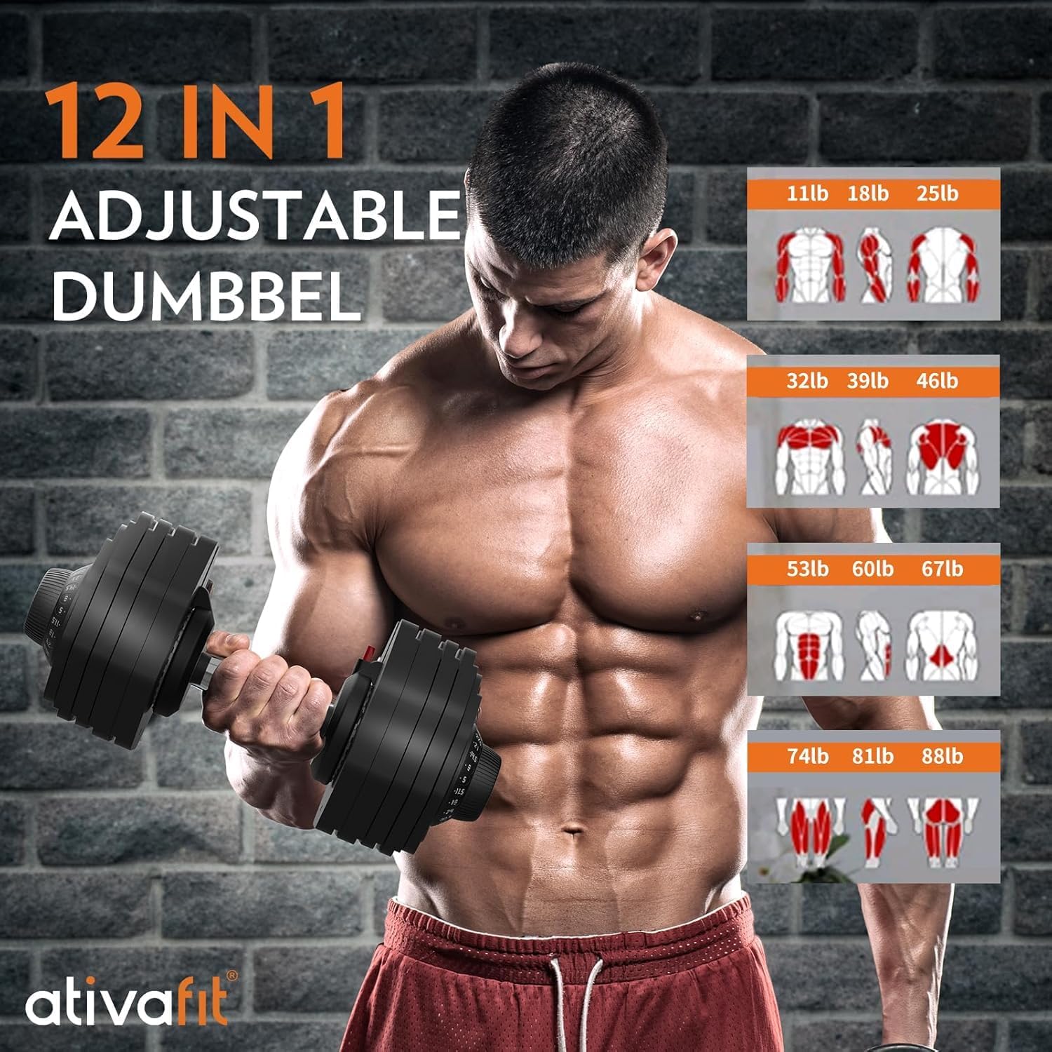 ATIVAFIT Adjustable Dumbbell Set of 2, 5–88LB Quick Dial Free Weights with Double Safety Lock, Anti-Slip Steel Handle & Storage Box, Space Saving Home Gym Equipment for Full Body Strength Training, Suitable for Home Fitness Users