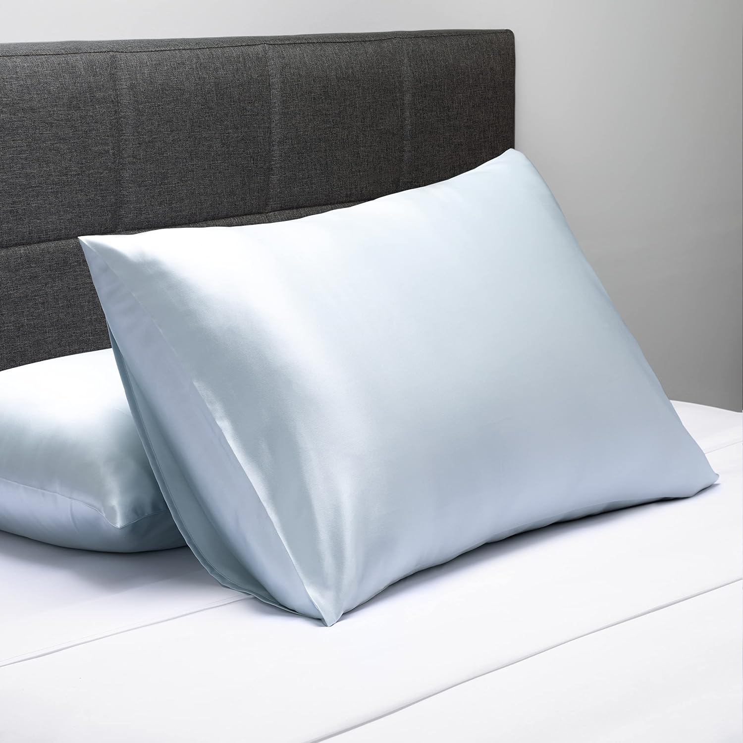 Fishers Finery 25mm 100% Pure Mulberry Silk Pillowcase (Blue Queen 2 Pack)