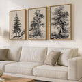 Large Framed Vintage Wall Art for Living Room, 3 Piece Tree Forest Artwork for Walls, Classic Rustic Sketch Canvas Paintings Prints for Office Hallway Wall Decor, 24x36 Inch