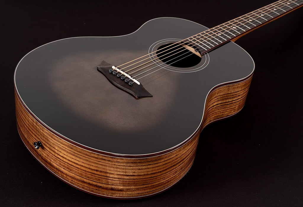 Washburn Bella Tono Novo S9 Acoustic Guitar (BTS9CH-D)
