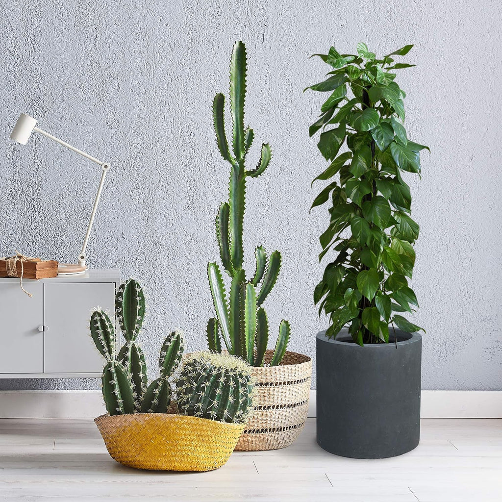 Kante 15.7' Dia Round Concrete Planter, Modern Style Large Cylindrical Plant Pot with Drainage Hole and Rubber Plug for Indoor Outdoor Patio, Charcoal