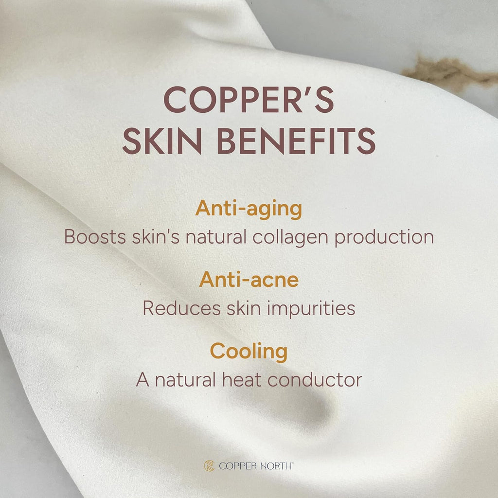 Copper Infused Pillowcase 100% Pure Silk | 22 Momme Mulberry Silk | Clearer Skin & Smoother Hair, Anti-Acne, Anti-Aging, Naturally Cooling (2 Cases, King, Deep Blue)