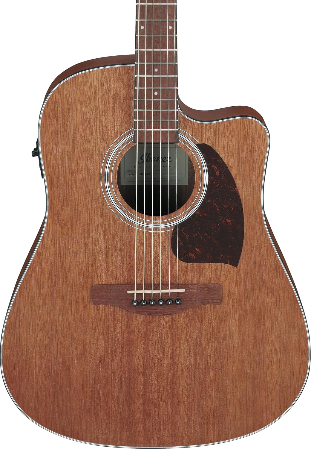 Ibanez PF54CE Acoustic-electric Guitar - Natural