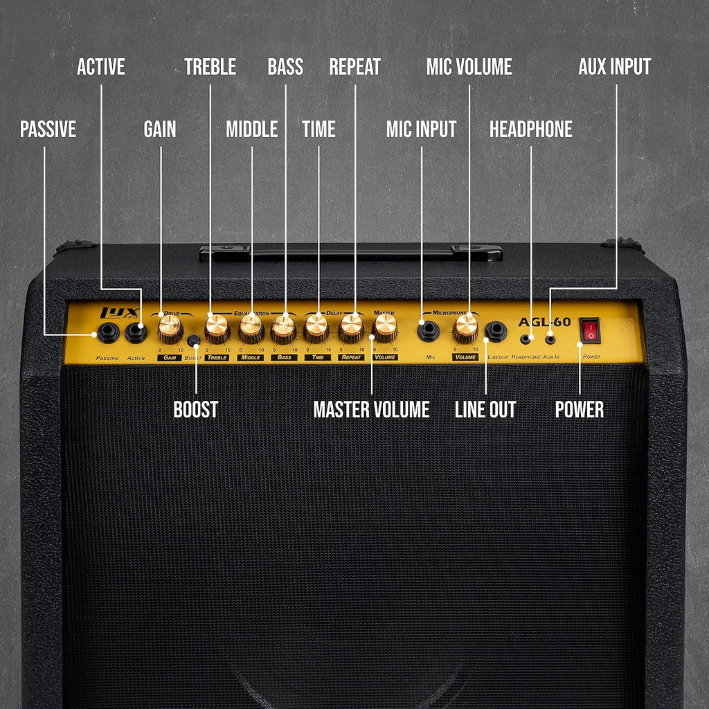 LyxPro 60 Watt Electric Guitar Amplifier | Combo Solid State Studio & Stage Amp with 10' 4-Ohm Speaker, Custom EQ Controls, Drive, Delay, ¼' Passive/Active/Microphone Inputs, Aux in & Headphone Jack