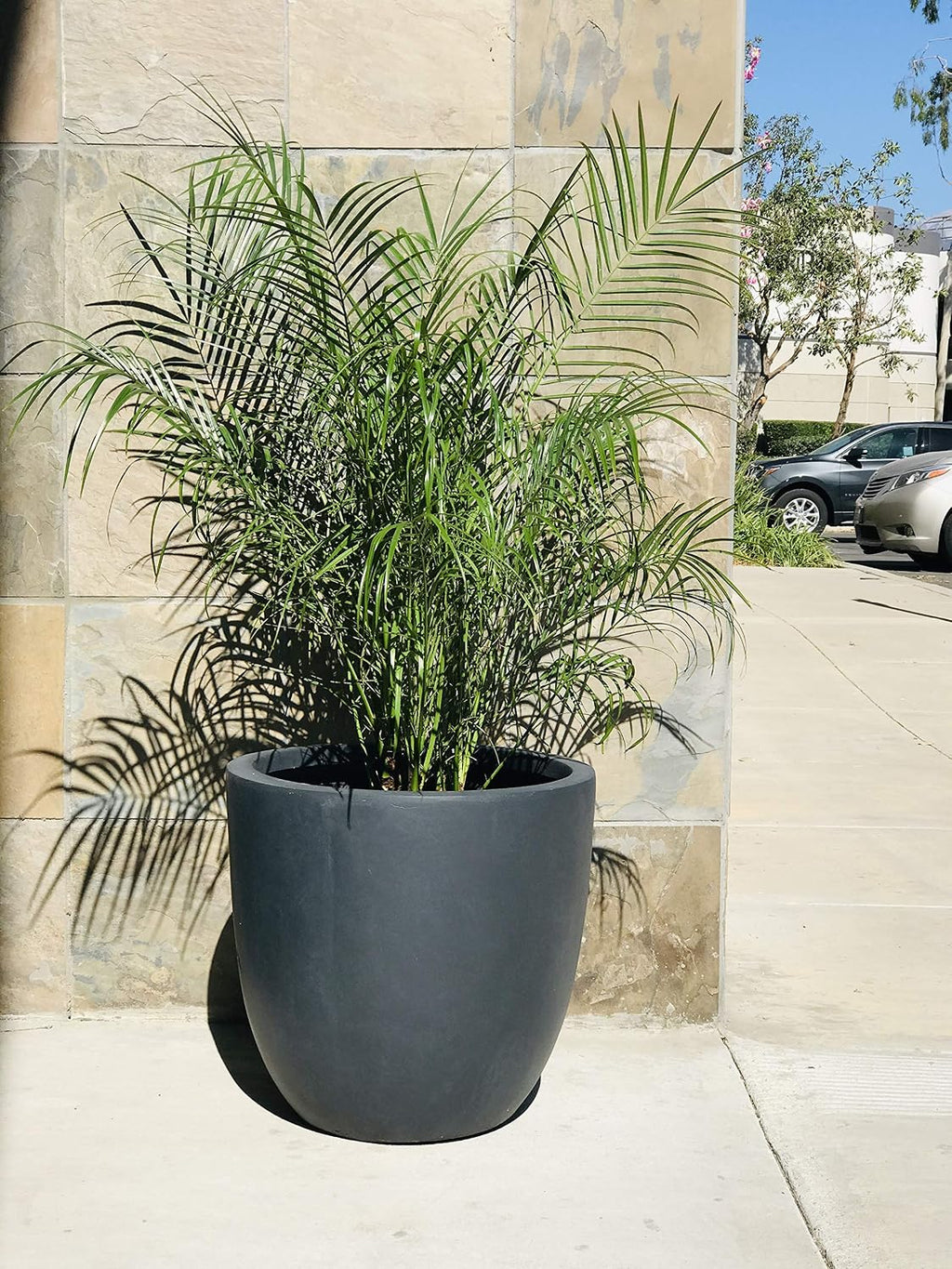 Kante 18 Inch Dia Round Concrete Planter, Indoor Outdoor Large Plant Pot with Drainage Hole and Rubber Plug for Home Patio Garden, Charcoal