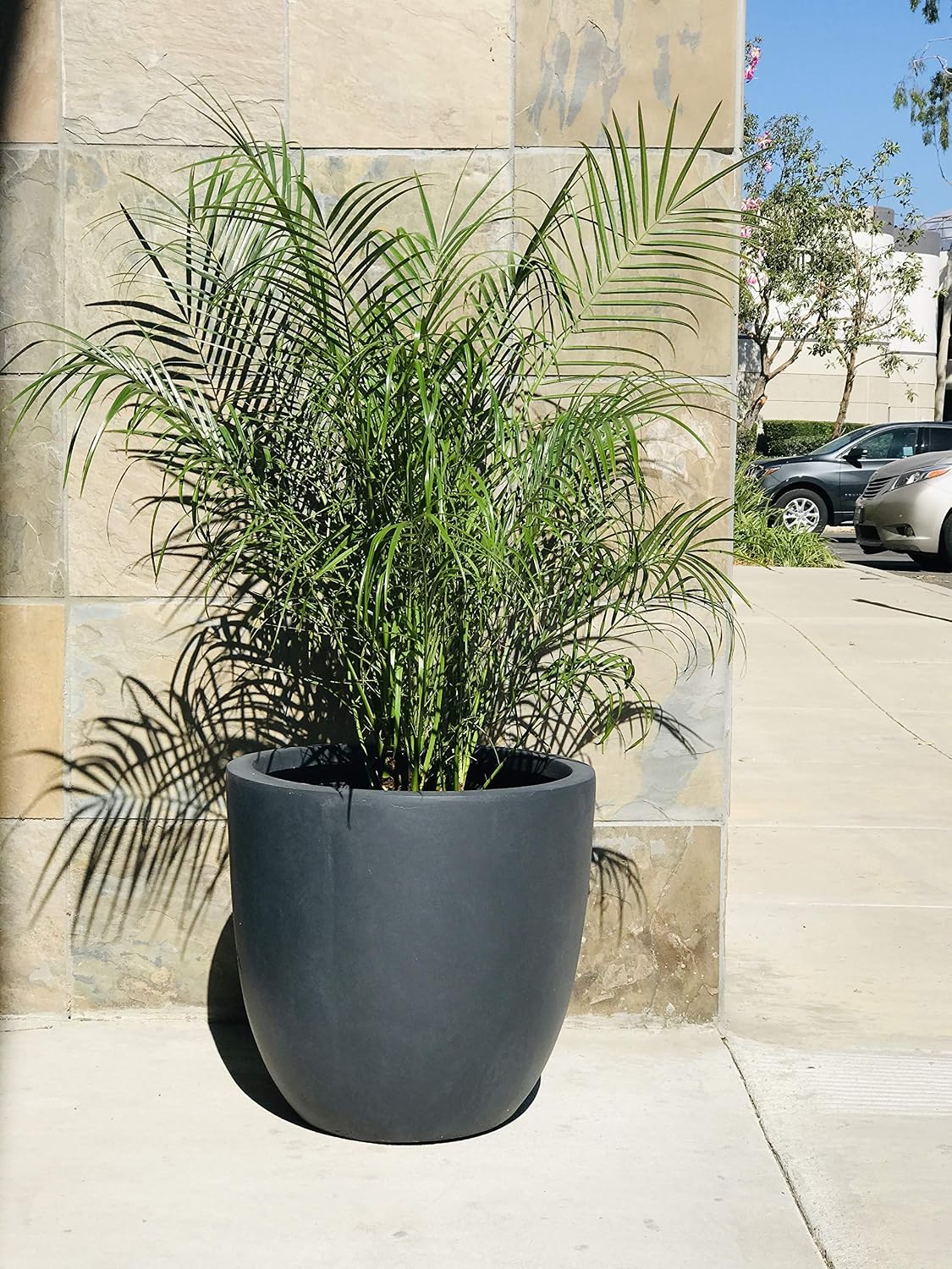 Kante 18 Inch Dia Round Concrete Planter, Indoor Outdoor Large Plant Pot with Drainage Hole and Rubber Plug for Home Patio Garden, Charcoal