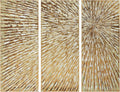 Empire Art Direct Gold Wall Art Textured Hand Painted Canvas by Martin Edwards, Triptych, 48' x 20' each, Sunshine